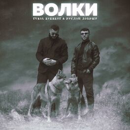 Album cover of Волки