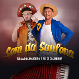 Album cover of Som da Sanfona