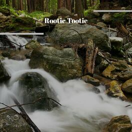 Album cover of Rootie Tootie