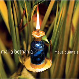 Album cover of Meus Quintais