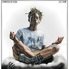 Album cover of 2 Mindful of Fear