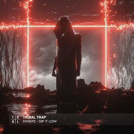 Album cover of Dip It Low