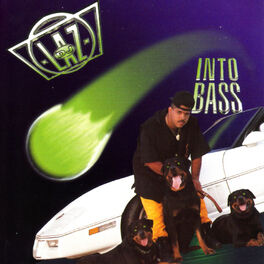 Album cover of Journey Into Bass