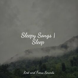 Album cover of Sleepy Songs | Sleep