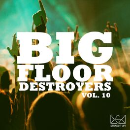 Album cover of Big Floor Destroyers Vol. 10