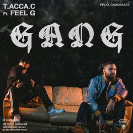 Album - Acca