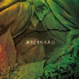 Album cover of Ascensão