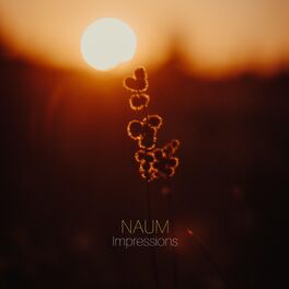 Album cover of Impressions