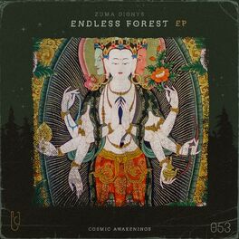 Album cover of Endless Forest