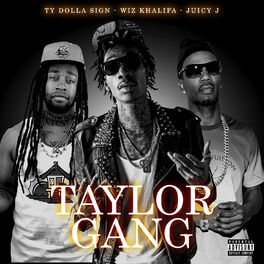 Album cover of Taylor Gang