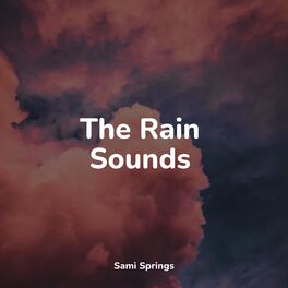 Album cover of The Rain Sounds