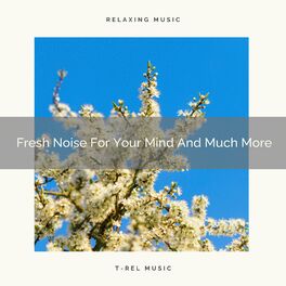 Album cover of Fresh Noise For Your Mind And Much More