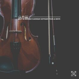 Album cover of Bruit de Musique Classique Suffisant Pour La Sieste