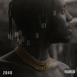 Album cover of 2040