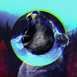 Album cover of Tired