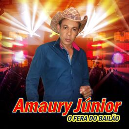 Album cover of O Fera do Bailão