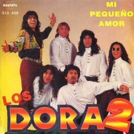 Album cover of Mi Pequeño Amor