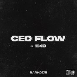 Album cover of CEO FLOW