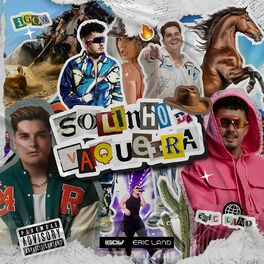 Album cover of Solinho Da Vaqueira