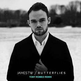 Album cover of Butterflies (Toby Romeo Remix)