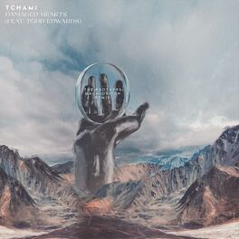 Album cover of Damaged Hearts (The Brothers Macklovitch Remix)