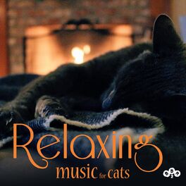 Album cover of Relaxing Music for Cats