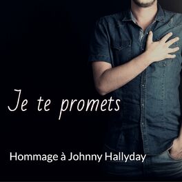 Album cover of Je te promets (40 chansons hommage à Johnny Hallyday)