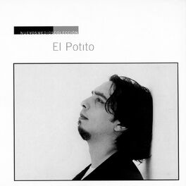 Album cover of Nuevos Medios Colección: Potito