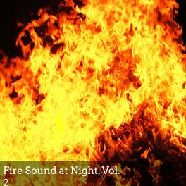 Album cover of Fire Sound at Night, Vol. 2