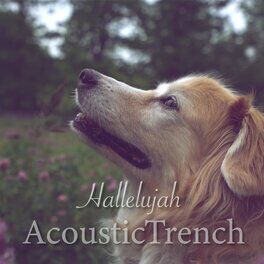 Album cover of Hallelujah