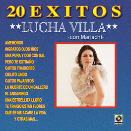 Album cover of 20 Éxitos