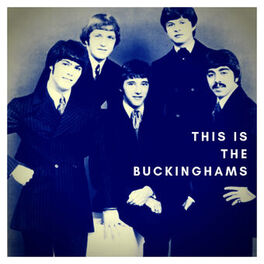 Album cover of This is the Buckinghams