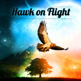 Album cover of Hawk on Flight