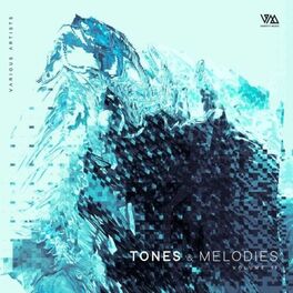Album cover of Tones & Melodies, Vol. 11