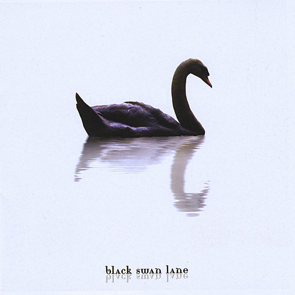 Черный лебедь хср билд. Black Swan Lane. Black Swan альбом. Черный лебедь Мем. Черный лебедь корабль.