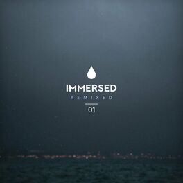 Album cover of Immersed Remixed 01