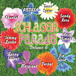 Album cover of Schlagerparade (Vol. 6)