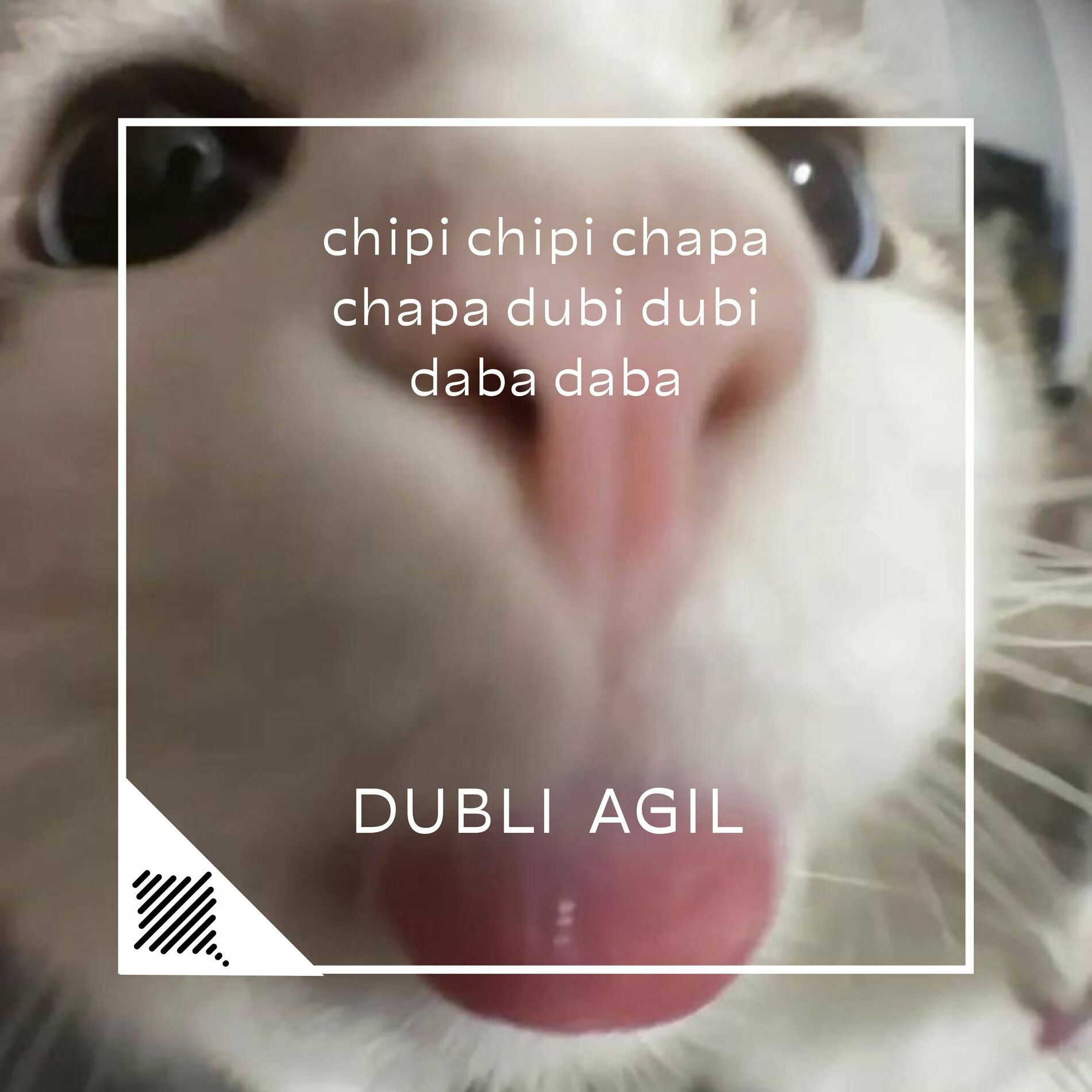 DUBLI AGIL - chipi chipi chapa chapa dubi dubi daba daba : chansons et  paroles | Deezer