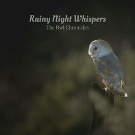 Album cover of Rainy Night Whispers: The Owl Chronicles