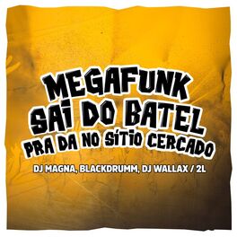 Album cover of Megafunk Sai do Batel pra da no Sítio Cercado
