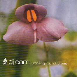 Album cover of Underground Vibes