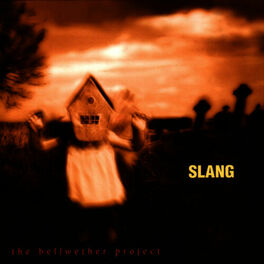 Album cover of The Bellwether Project