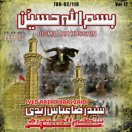 Album cover of Bismillah Hussain, Vol. 12