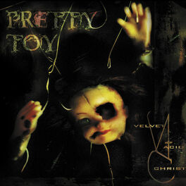 Album cover of Pretty Toy