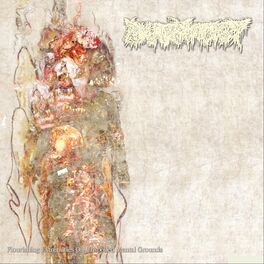 Album cover of Flourishing Extremities on Unspoiled Mental Grounds