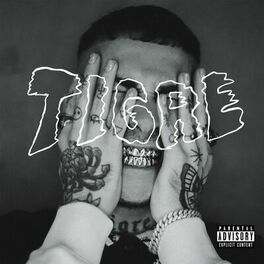 Album cover of Tigre