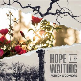Album picture of Hope in the Waiting