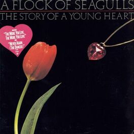 Album cover of The Story Of A Young Heart