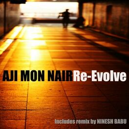 Album cover of Re-Evolve