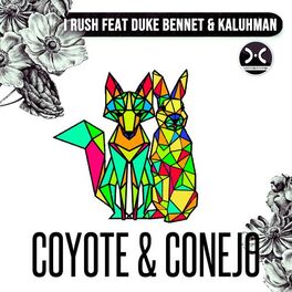 Album cover of Coyote & Conejo